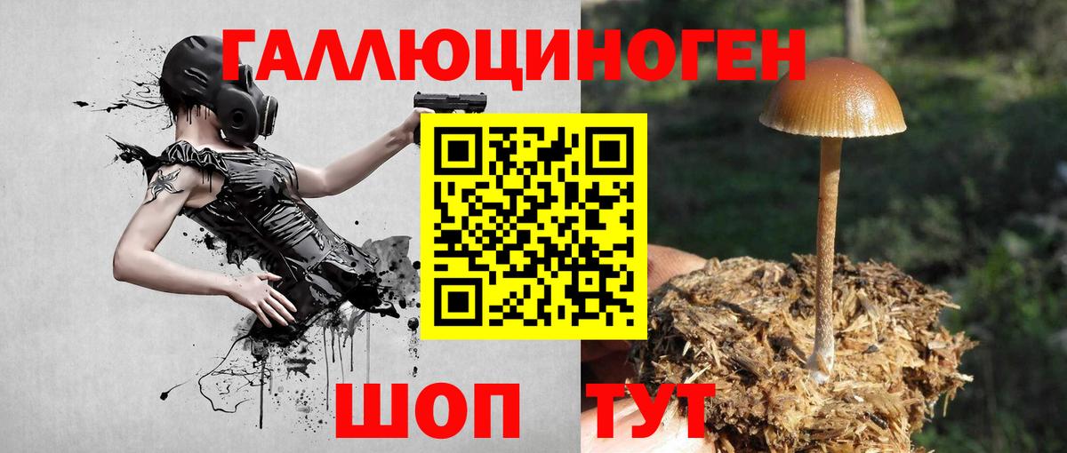 Галлюциногенные грибы GOLDEN TEACHER Владимир
